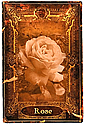 The Rose