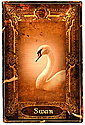 The Swan