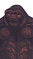 Sasquatch
