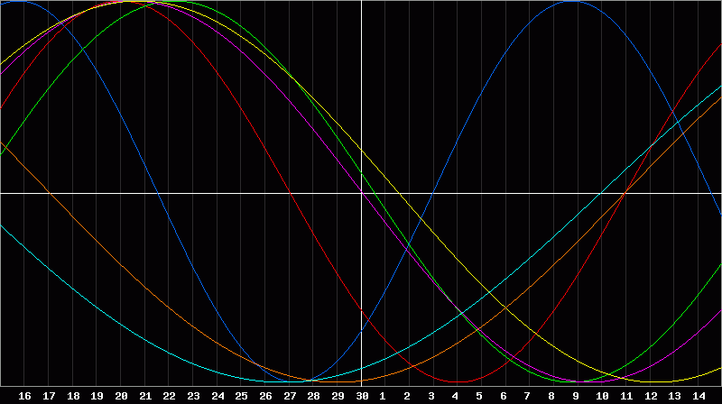 Biorhythm Chart