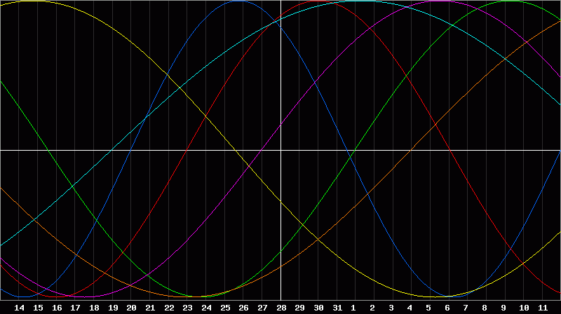 Biorhythm Chart