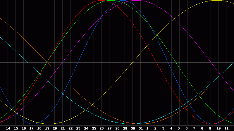 Biorhythm Chart