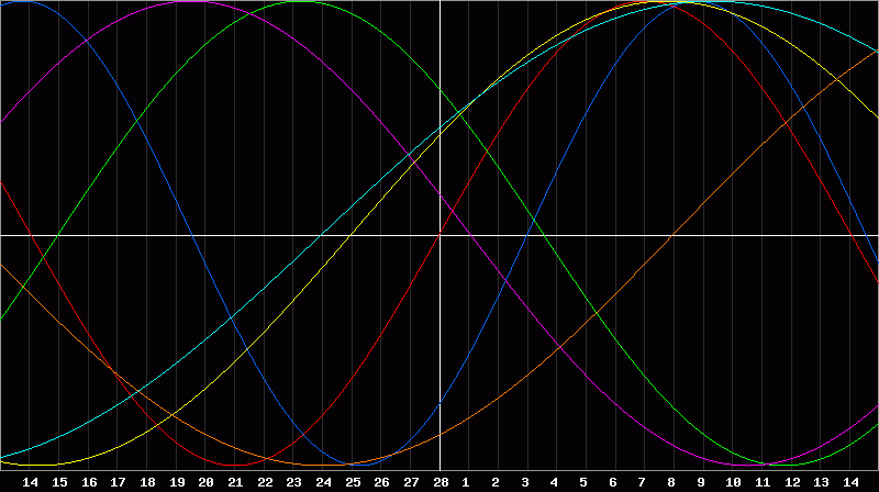 Biorhythm Chart