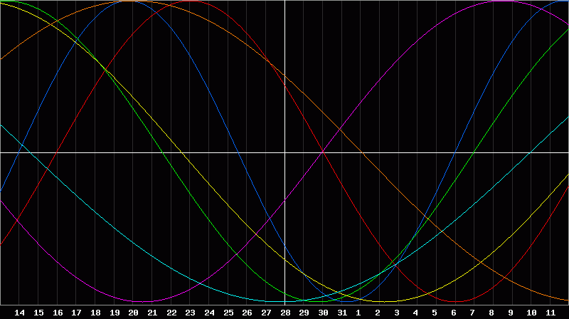 Biorhythm Chart
