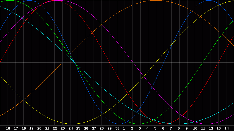 Biorhythm Chart