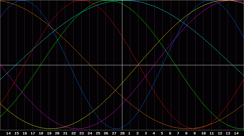 Biorhythm Chart