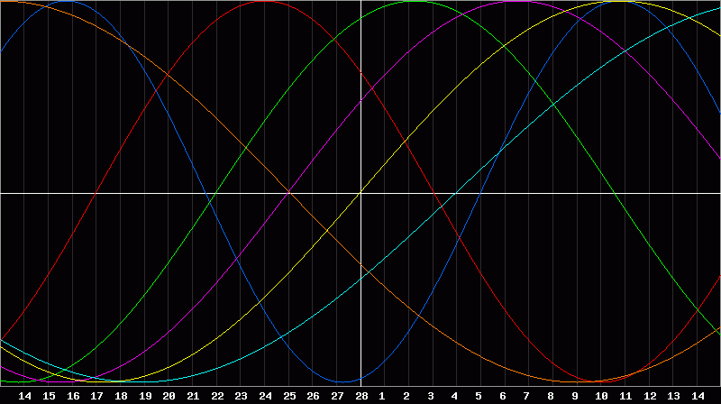 Biorhythm Chart