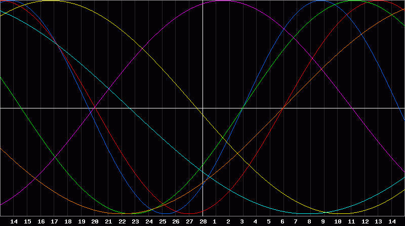 Biorhythm Chart