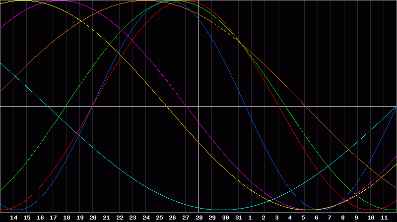 Biorhythm Chart
