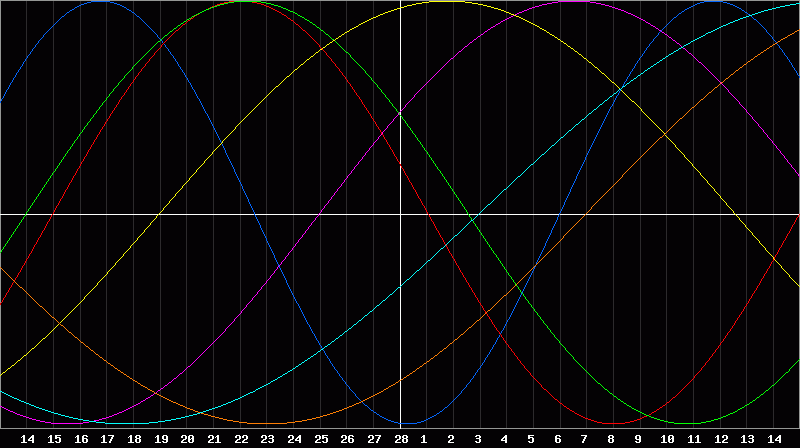 Biorhythm Chart