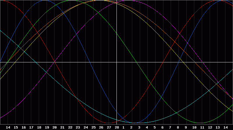 Biorhythm Chart