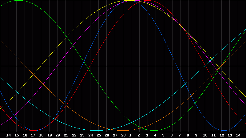Biorhythm Chart