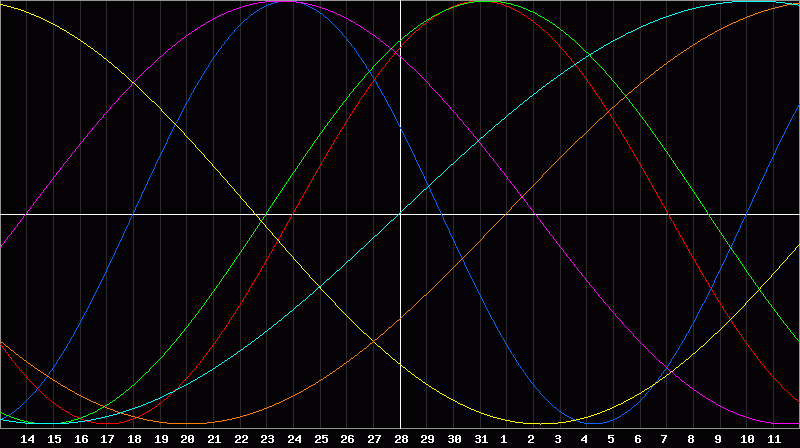 Biorhythm Chart