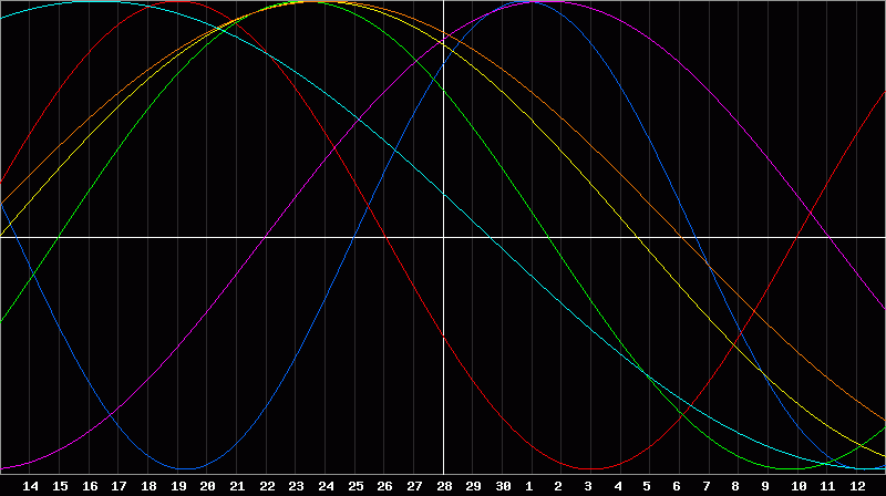 Biorhythm Chart