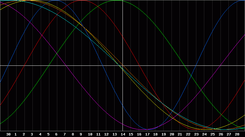 Biorhythm Chart