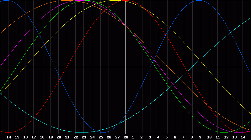 Biorhythm Chart