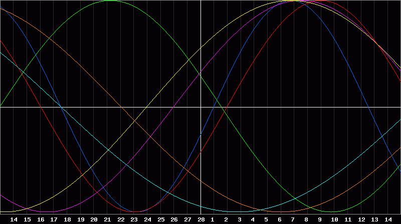Biorhythm Chart