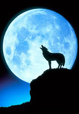 wolf howling at full moon