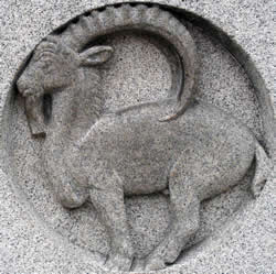 capricorn