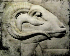 aries ram relief