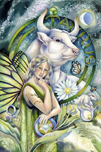 taurus companion