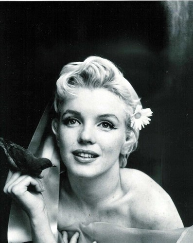 Marilyn Monroe