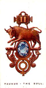 Taurus The Bull