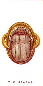 The Scarab