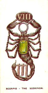 Scorpio the Scorpion