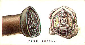 The Food Charm