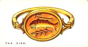 The Fish