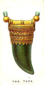 The Tusk