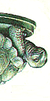 The Tortoise Reversed