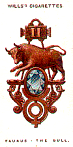 Taurus The Bull
