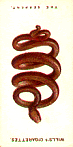 The Serpent Reversed