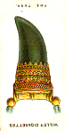 The Tusk Reversed