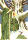 The Hermit