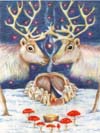 Reindeer
