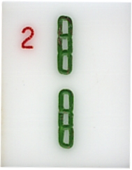 Bamboo 2