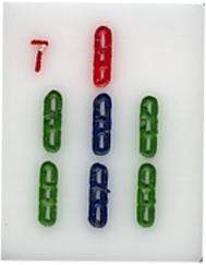 Bamboo 7