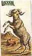 Aries