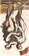 Gemini Reversed