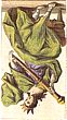 The Queen of Wands Reversed